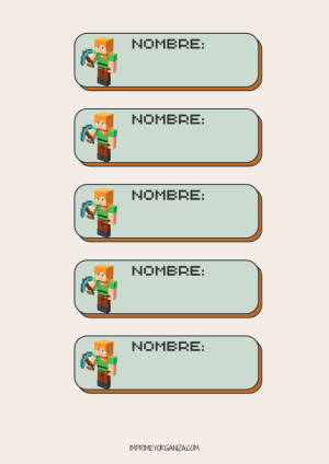 Etiqueta Minecraft